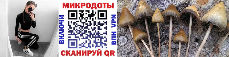 Псилоцибиновые грибы MAGIC MUSHROOMS  Светлогорск 